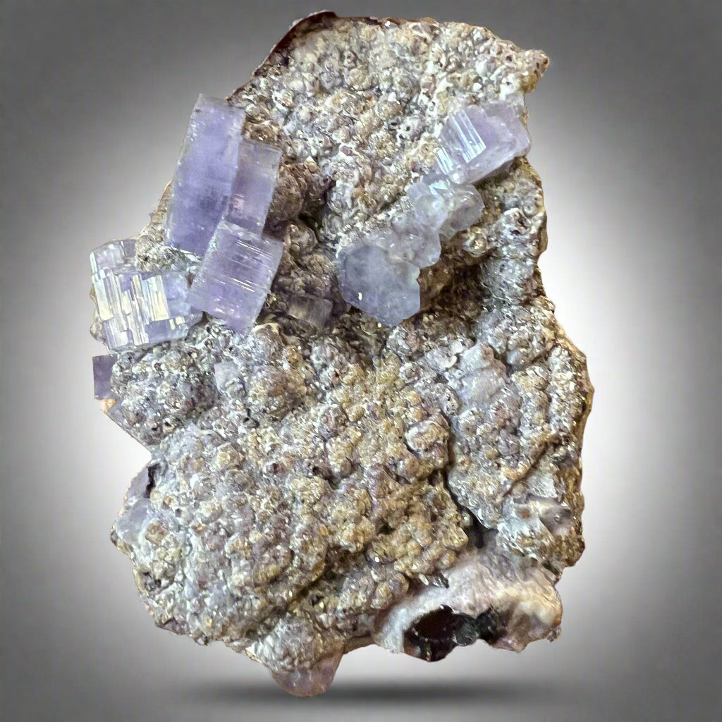 Apatite (Fluorapatite) with euhedral purple crystals from Germany