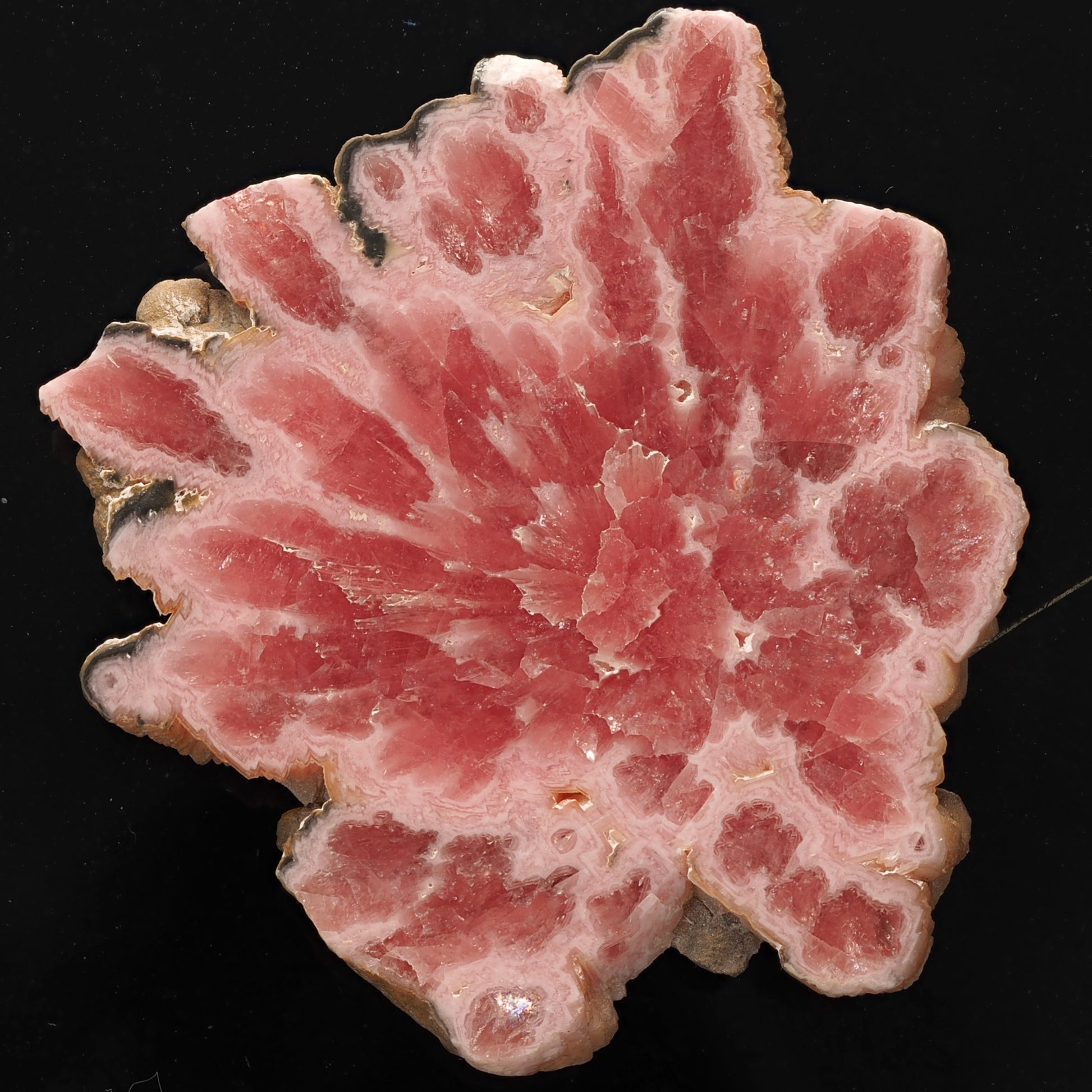 Rhodochrosite (slab) - Argentina