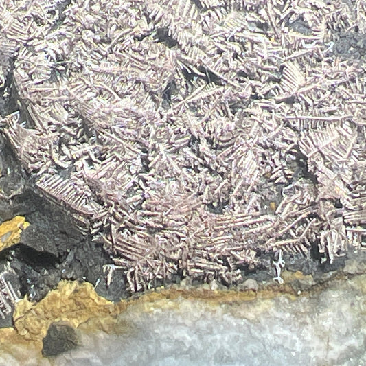 Fern-like native silver crystals on native arsenic from Saxony, Germany