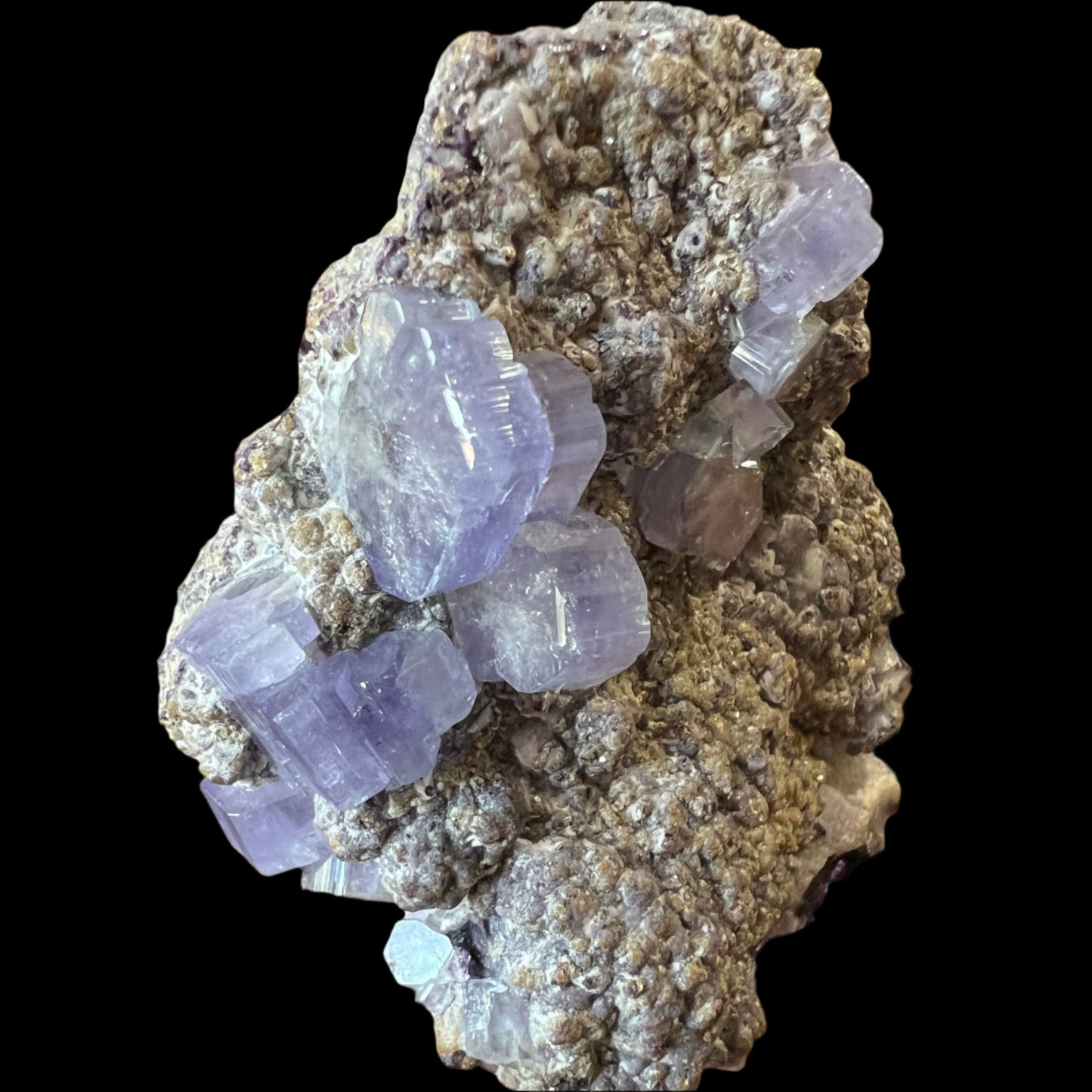 Apatite (Fluorapatite) with euhedral purple crystals from Germany