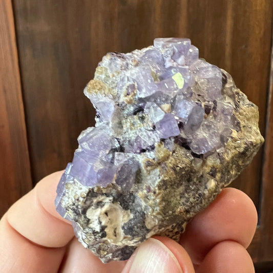 Hand holding a crystal rock with purple Fluorapatite crystals against a wooden background