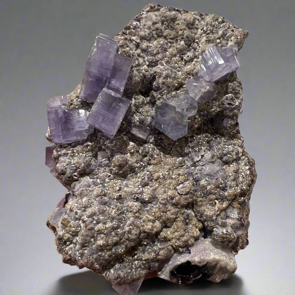 Apatite (Fluorapatite) with euhedral purple crystals from Germany