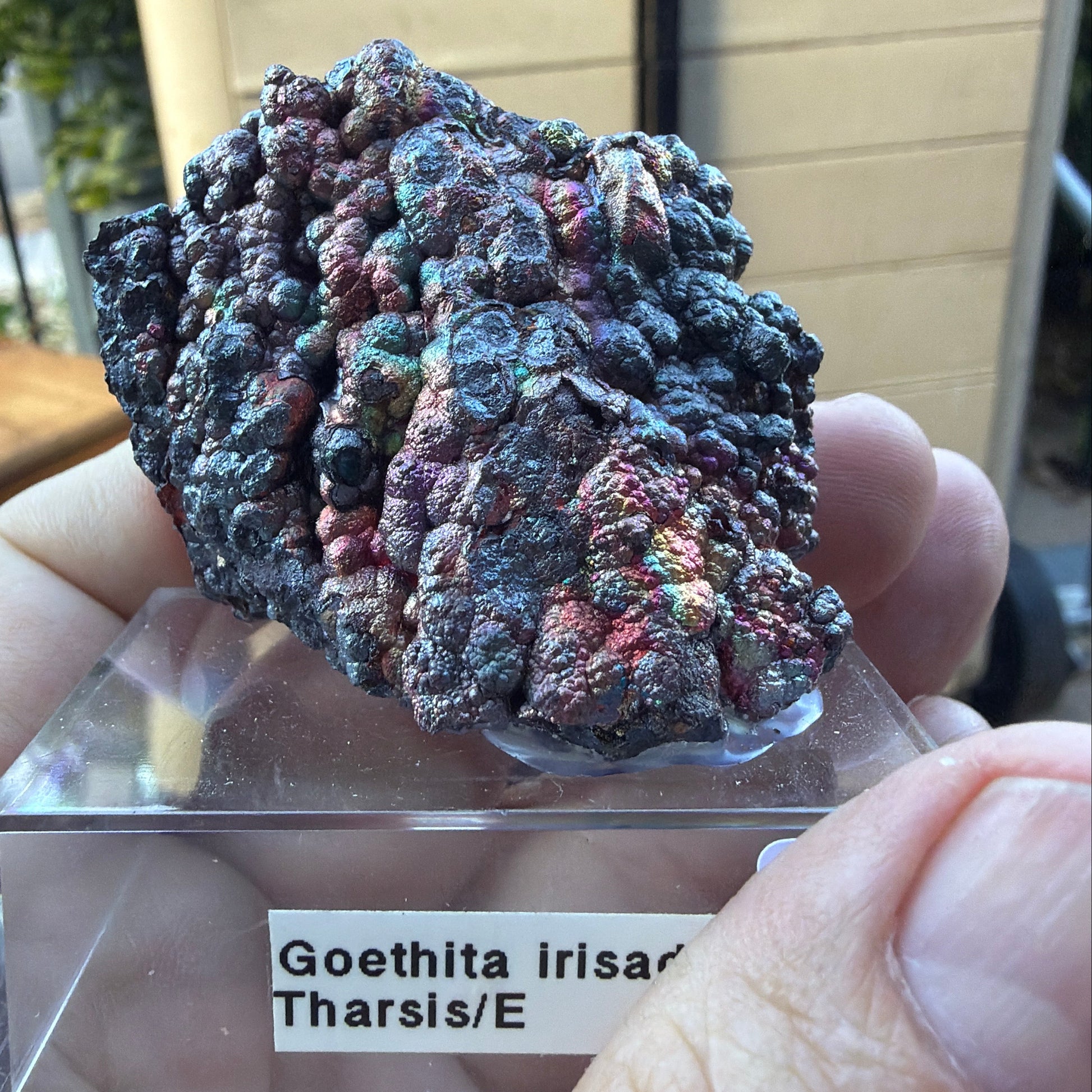 An iridescent goethite specimen from Spain
