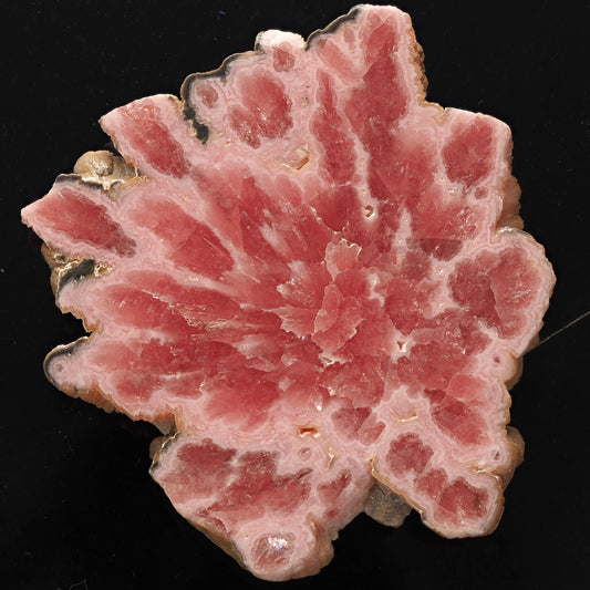 Rhodochrosite (slab) - Argentina