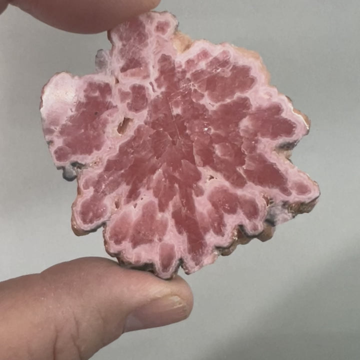 Rhodochrosite (slab) - Argentina